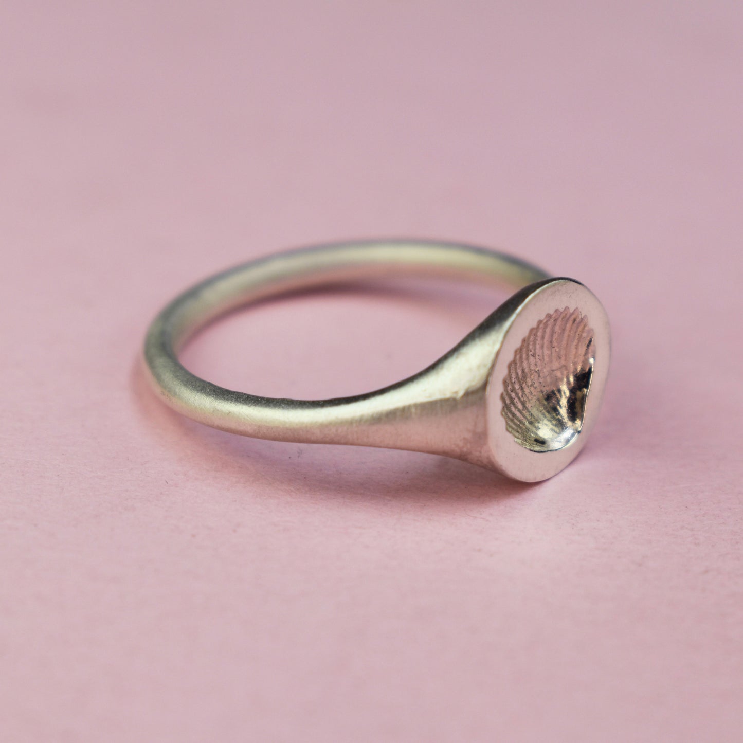 Cockle Shell Signet Ring