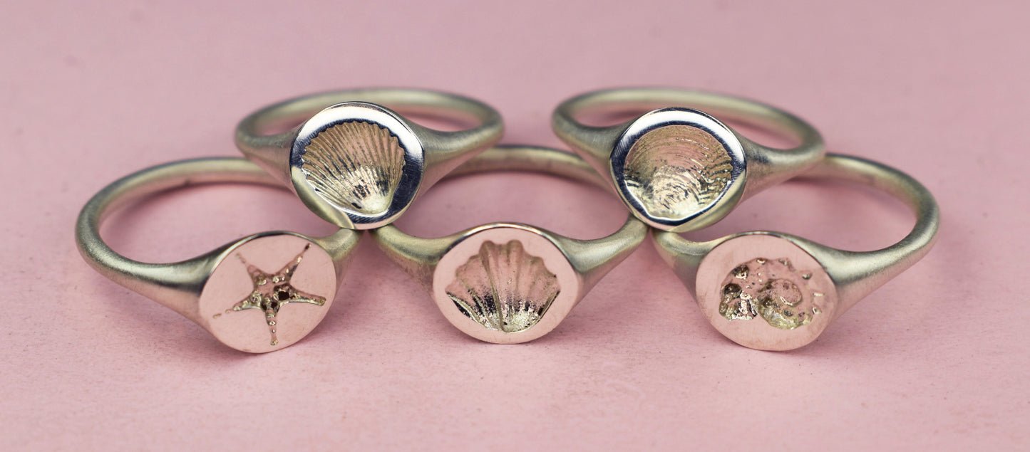 Cockle Shell Signet Ring