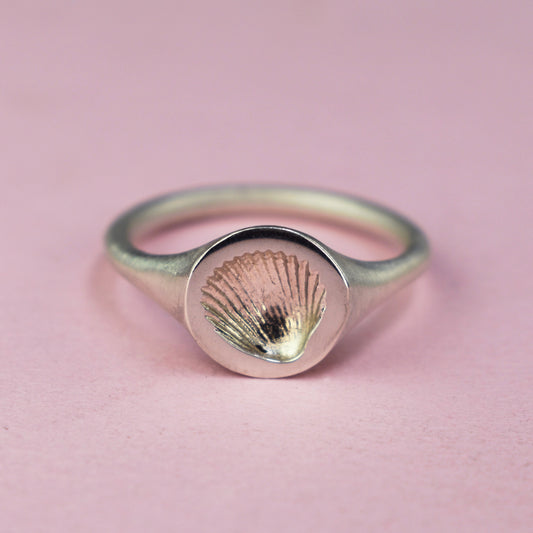 Cockle Shell Signet Ring